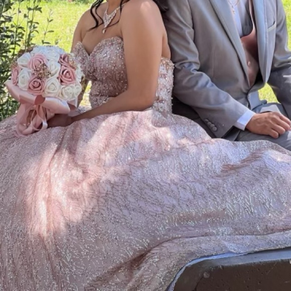 Quince rose gold dress